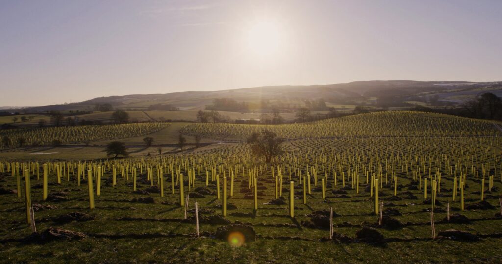 Leeds business news collaboration funding Aire Resilience Company natural flood management tree planting across Aire catchment
